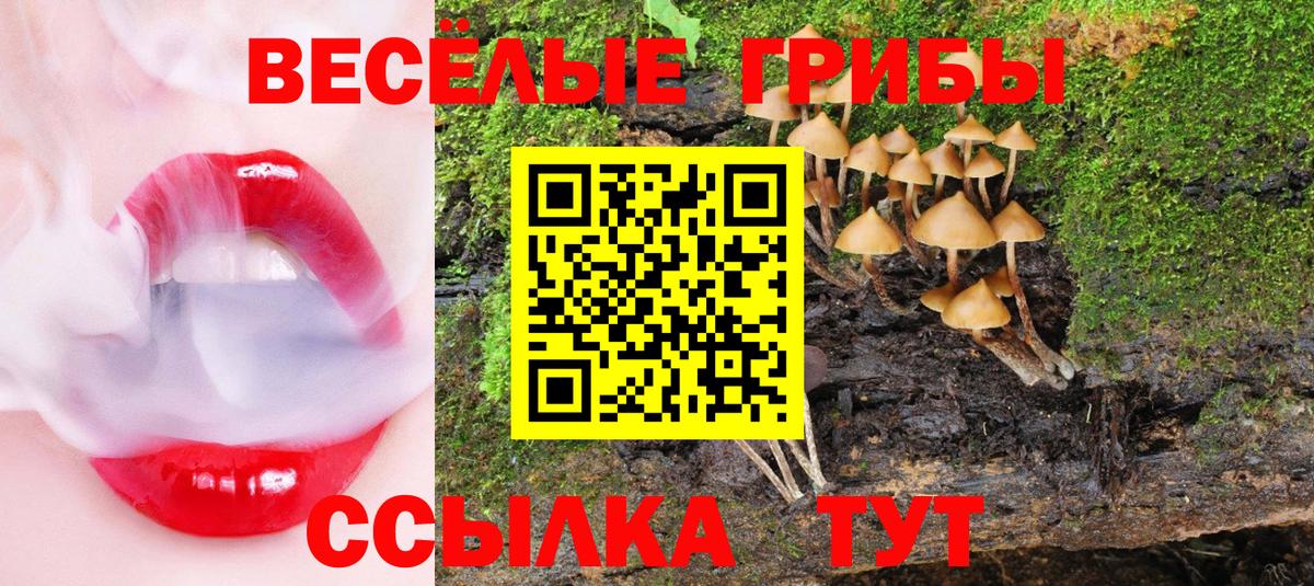 Галлюциногенные грибы мухоморы  Вход с VPN  Кудрово 